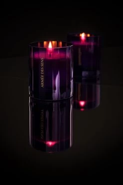 Maison Close Bougie D'ambiance - Armée Des Sens - La Maison